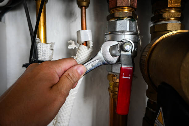 Best Leak Detection Services  in Gothenburg, NE